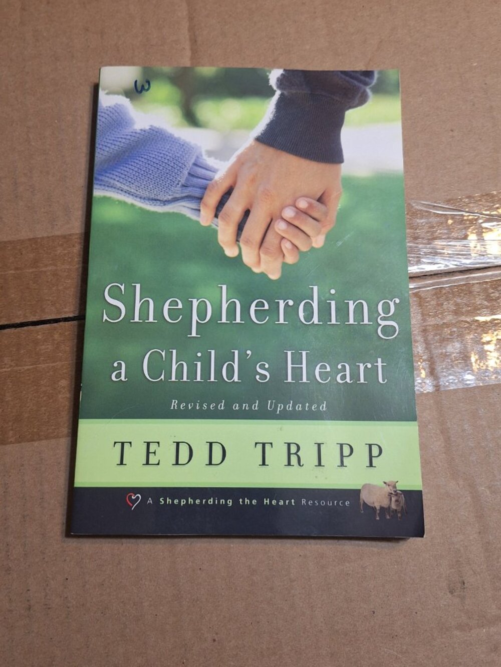Shepherding a Child's Heart